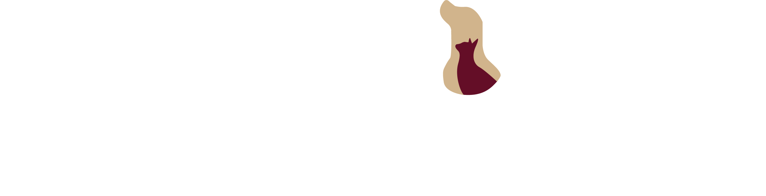 Branford Veterinary Hospital